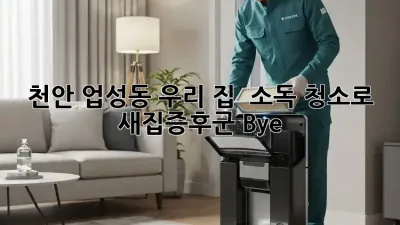 천안 업성동 우리 집 ✨ 소독 청소로 새집증후군 Bye! 🏠💨