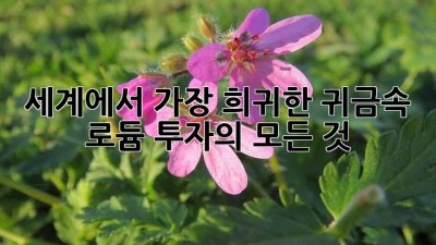 세계에서 가장 희귀한 귀금속, 로듐 투자의 모든 것