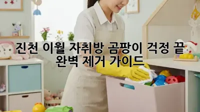 진천 이월 자취방 곰팡이? 걱정 끝! 완벽 제거 가이드!